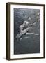 Ballerina-Michael Jackson-Framed Giclee Print