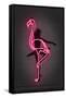 Ballerina-Octavian Mielu-Framed Stretched Canvas