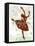 Ballerina-Teofilo Olivieri-Framed Stretched Canvas