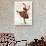 Ballerina-Teofilo Olivieri-Giclee Print displayed on a wall