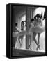 Ballerinas on Window Sill in Rehearsal Room at George Balanchine's School of American Ballet-Alfred Eisenstaedt-Framed Stretched Canvas