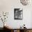 Ballerinas on Window Sill in Rehearsal Room at George Balanchine's School of American Ballet-Alfred Eisenstaedt-Mounted Photographic Print displayed on a wall