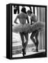 Ballerinas on Window Sill in Rehearsal Room at George Balanchine's School of American Ballet-Alfred Eisenstaedt-Framed Stretched Canvas