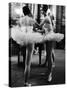 Ballerinas Practicing at Paris Opera Ballet School-Alfred Eisenstaedt-Stretched Canvas