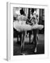 Ballerinas Practicing at Paris Opera Ballet School-Alfred Eisenstaedt-Framed Photographic Print