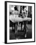Ballerinas Practicing at Paris Opera Ballet School-Alfred Eisenstaedt-Framed Photographic Print