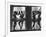 Ballerinas Standing on Window Sill in Rehearsal Room, George Balanchine's School of American Ballet-Alfred Eisenstaedt-Framed Photographic Print