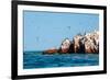 Ballestas Islands, Paracas National Reserve. the Very First Marine Conservation Center in Peru, Ref-Ksenia Ragozina-Framed Photographic Print