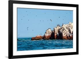 Ballestas Islands, Paracas National Reserve. the Very First Marine Conservation Center in Peru, Ref-Ksenia Ragozina-Framed Photographic Print