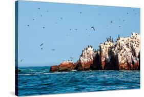 Ballestas Islands, Paracas National Reserve. the Very First Marine Conservation Center in Peru, Ref-Ksenia Ragozina-Stretched Canvas