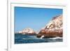 Ballestas Islands, Paracas National Reserve. the Very First Marine Conservation Center in Peru, Ref-Ksenia Ragozina-Framed Photographic Print