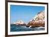 Ballestas Islands, Paracas National Reserve. the Very First Marine Conservation Center in Peru, Ref-Ksenia Ragozina-Framed Photographic Print