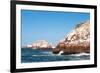 Ballestas Islands, Paracas National Reserve. the Very First Marine Conservation Center in Peru, Ref-Ksenia Ragozina-Framed Photographic Print