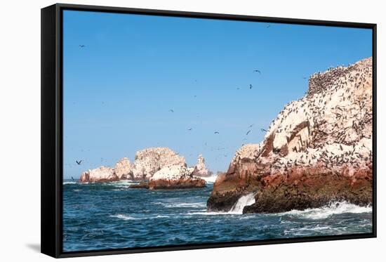 Ballestas Islands, Paracas National Reserve. the Very First Marine Conservation Center in Peru, Ref-Ksenia Ragozina-Framed Stretched Canvas