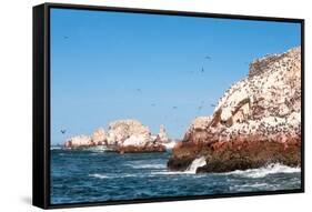 Ballestas Islands, Paracas National Reserve. the Very First Marine Conservation Center in Peru, Ref-Ksenia Ragozina-Framed Stretched Canvas