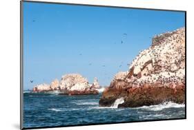 Ballestas Islands, Paracas National Reserve. the Very First Marine Conservation Center in Peru, Ref-Ksenia Ragozina-Mounted Photographic Print