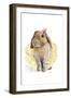 Ballet Bunny II-Lanie Loreth-Framed Art Print