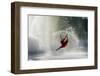 Ballet dancer in red dress dancing in fountain, International Fountain, Seattle, Washington Stat...-Pete Saloutos-Framed Photographic Print