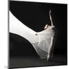 Ballet Dancer Jump White Veil-null-Mounted Art Print