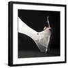 Ballet Dancer Jump White Veil-null-Framed Art Print