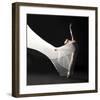 Ballet Dancer Jump White Veil-null-Framed Art Print