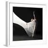Ballet Dancer Jump White Veil-null-Framed Art Print