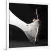 Ballet Dancer Jump White Veil-null-Framed Art Print