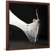 Ballet Dancer Jump White Veil-null-Framed Art Print