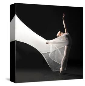 Ballet Dancer Jump White Veil-null-Stretched Canvas