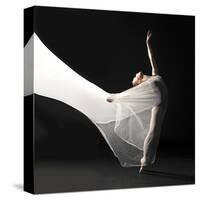 Ballet Dancer Jump White Veil-null-Stretched Canvas