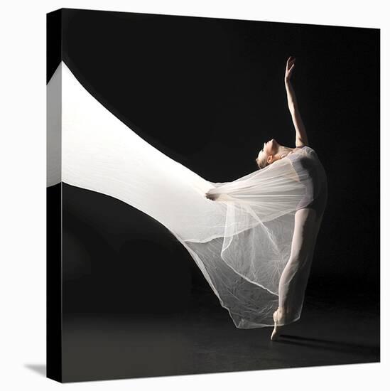 Ballet Dancer Jump White Veil-null-Stretched Canvas