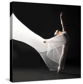 Ballet Dancer Jump White Veil-null-Stretched Canvas