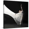 Ballet Dancer Jump White Veil-null-Stretched Canvas