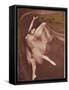 Ballet Dancer Posing Elegantly-null-Framed Stretched Canvas