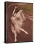 Ballet Dancer Posing Elegantly-null-Stretched Canvas