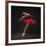 Ballet Dancer Red Tutu-null-Framed Art Print