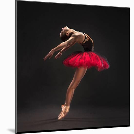 Ballet Dancer Red Tutu-null-Mounted Art Print
