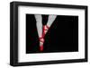 Ballet Dancer Standing on Toes-null-Framed Premium Giclee Print