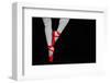 Ballet Dancer Standing on Toes-null-Framed Premium Giclee Print