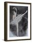 Ballet Dancer with Pink Top 2015-Susan Adams-Framed Giclee Print
