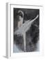 Ballet Dancer with Pink Top 2015-Susan Adams-Framed Giclee Print