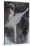 Ballet Dancer with Pink Top 2015-Susan Adams-Stretched Canvas