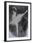 Ballet Dancer with Pink Top 2015-Susan Adams-Framed Giclee Print