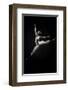 Ballet Dancer-null-Framed Art Print