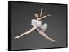 Ballet dancer-Erik Isakson-Framed Stretched Canvas