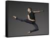 Ballet dancer-Erik Isakson-Framed Stretched Canvas