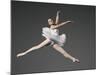 Ballet dancer-Erik Isakson-Mounted Photographic Print