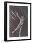 Ballet Dancer-null-Framed Photographic Print