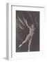 Ballet Dancer-null-Framed Photographic Print