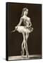 Ballet Dancer-null-Framed Stretched Canvas